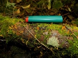 Calocera furcata image