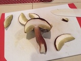 Boletus fibrillosus image
