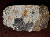 Aspicilia pacifica image