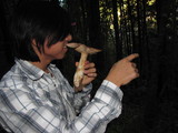 Russula fragrantissima image