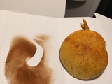 Gymnopilus luteus image
