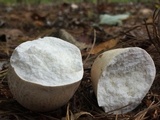 Calvatia cyathiformis image