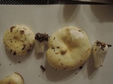 Russula albidula image