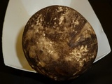 Leccinum variicolor image