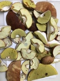 Boletus subcaerulescens image