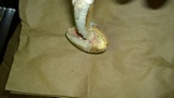 Mycogone rosea image