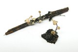 Hemimycena candida image