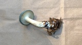 Clitocybe odora image