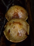 Pholiota limonella image