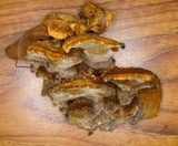 Inocutis rheades image