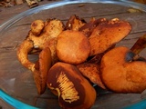 Gymnopilus luteus image