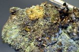 Lepraria caesioalba image