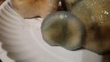 Stropharia aeruginosa image