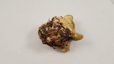 Tapinella panuoides image