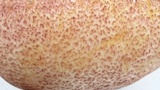 Tricholomopsis rutilans image