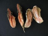 Lysurus mokusin image