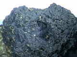 Tuber mesentericum image