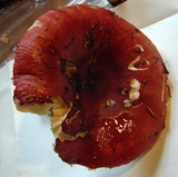 Russula vinosa image