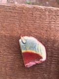 Rubroboletus eastwoodiae image