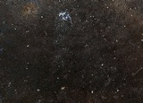 Hexagonia hydnoides image