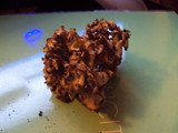 Sparassis crispa image