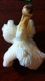 Hygrophorus occidentalis image