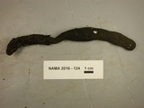 Xylaria longipes image