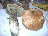 Leccinum manzanitae image