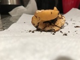 Cantharellus formosus image
