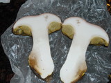 Boletus regineus image