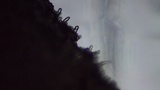 Inocybe fraudans image