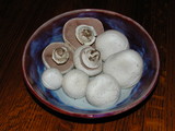 Agaricus bitorquis image