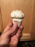 Amanita magniverrucata image