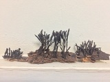 Xylaria arbuscula image