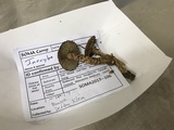 Inocybe hystrix image
