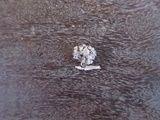 Xylaria cubensis image