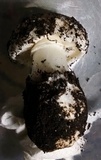 Leucoagaricus amanitoides image