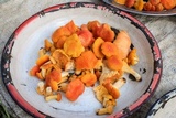 Cantharellus platyphyllus subsp. bojeriensis image