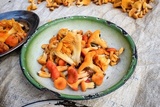 Cantharellus platyphyllus image