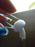 Hygrophorus eburneus image