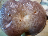 Lactarius californiensis image