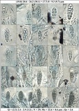 Hysterobrevium smilacis image