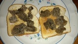Picoa carthusiana image