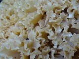 Sparassis crispa image