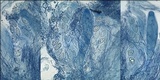 Ainoa geochroa image