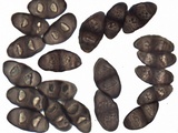 Rinodina oxydata image