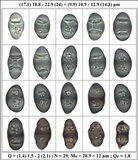 Rinodina oxydata image