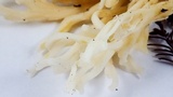 Clavulina coralloides image