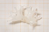 Tremella fuciformis image