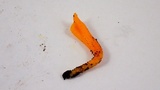 Clavulinopsis corniculata image